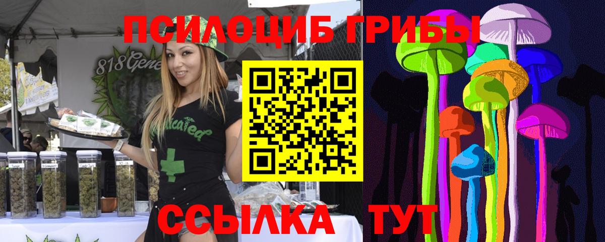 Псилоцибиновые грибы GOLDEN TEACHER Костомукша